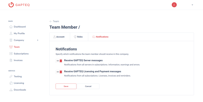 TD_FT_TeammitgliederEinladen_Screenshot_2_EN